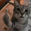 bruhkerjdjdj