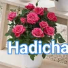 hadidja_8711