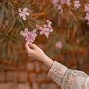 azreena.nizam
