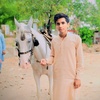 zainshah.786