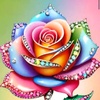 rose___singli2