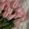 salma.almusadder