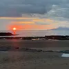 noah_28820