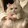 ghada_ibraheem