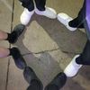 parkspoon_butcars