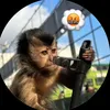 jader_jn