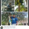 emiliofelixflores
