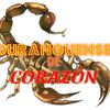 Duranguense De Corazon