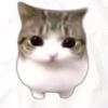 xyzzzp6