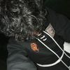 alvinarmadani4