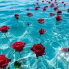 anees.khan9870