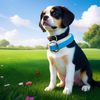 Pet love