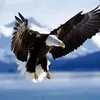 truongtruong780