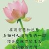 chensukching