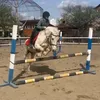 lera_200648
