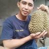 andika11028
