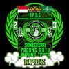 rpds_sumbersari