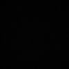 roei_roee1