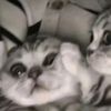 yuha_1111
