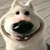 wheijx.khkkjff