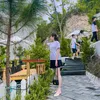 thanhbinhle19