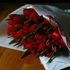 user9477032101437