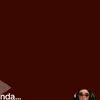 sojado4