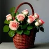 user10211561253048