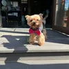 timofeyaleshin8