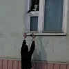 barahek_3874