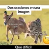 carlosvazquez69