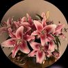littel.flower
