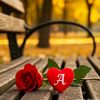 myint.myint.aye3466