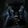 user2315056161968