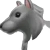 hamzahajri12