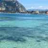 palermo6933