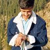 haiderkazmi777