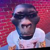 I am NOT Pchain