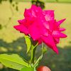 mohammadkadir_c_128
