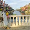 widi@