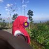 _fidaa1y