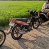 shafa_630