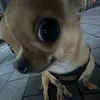 hthiennnnn.com