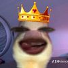 daracxnzz