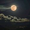 luna.diaz091