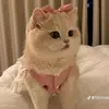 nasma_910