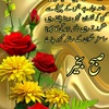 majadkhan433