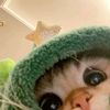 kenta43482