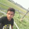 tigernijam