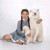 yapon.akita044